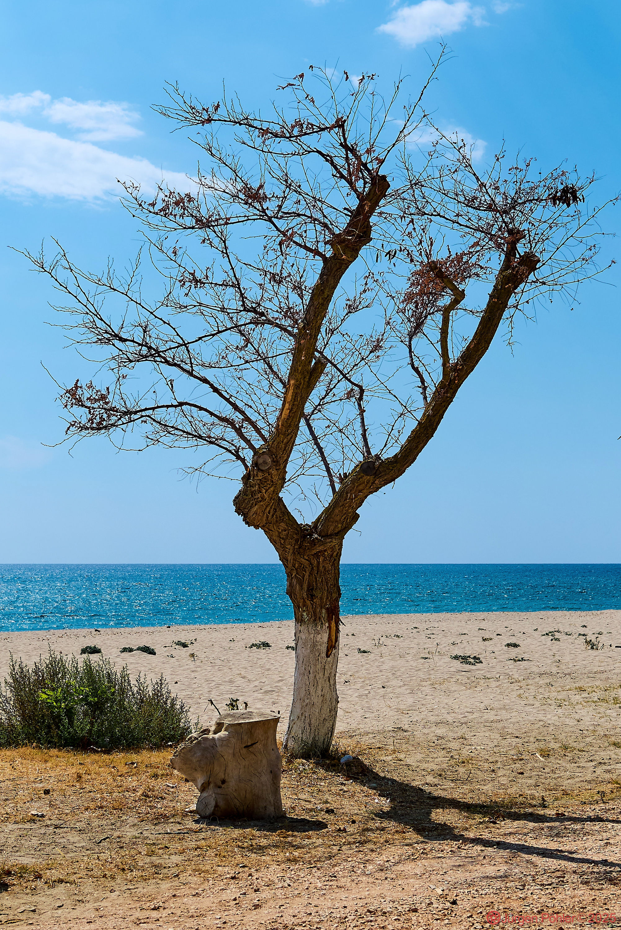 20240831 NIKON D500 142609